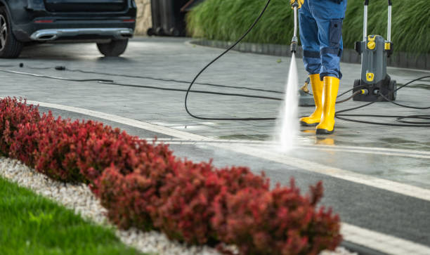 Best Patio and Deck Pressure Washing  in Bridgeport, PA